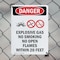 Signmission Explosive Gas No Smoking Danger Sign, Plastic, 10in W x 14in L, 2PK OS-2PACK-DS-P-1014-V-1209 - alternate 5